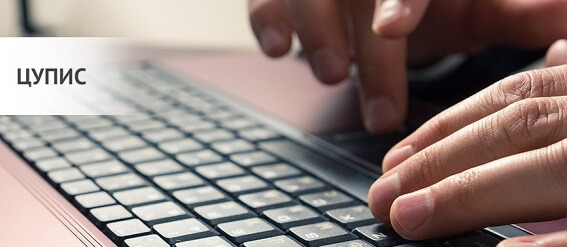 Чем отличается Первый и Второй ЦУПИС?