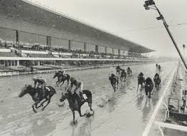 Когда сделали первую ставку в букмекерской конторе?