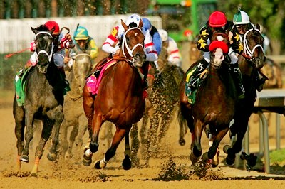 Лошадиные скачки – структура, терминология, о скакунах