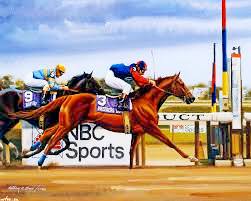 Лошадиные скачки – структура, терминология, о скакунах