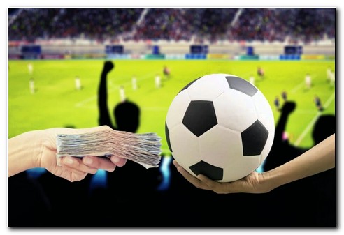 На что вы делаете ставки в букмекерских конторах?