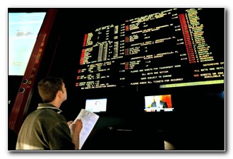 Психологические проблемы новичков