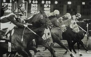 Самые необычные ставки в истории мирового беттинга