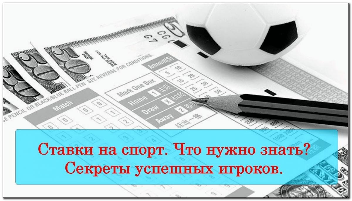 Секреты успешных ставок – с чего начать новичку?