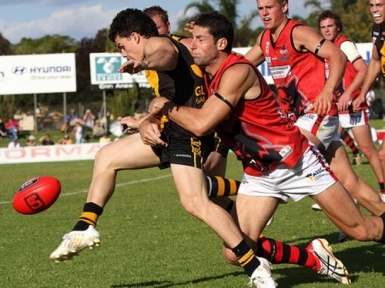 Ставки на австралийский футбол – насколько выгодно направление?